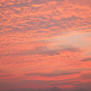 狂吃不胖仓鼠突破手