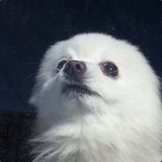 Kynl