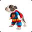 Superhund