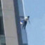 freefalling MLG