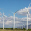windmill lover43