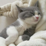 让我看看谁在打我