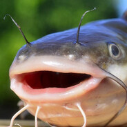 CatFishZ