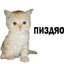 De1eted