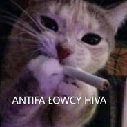 Tar_zyK