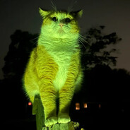 White Boy Goated W/Festivities