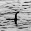 Nessie