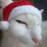 MorningStar™@bandit