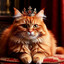 Lord Fluffy :3