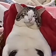 霹雳火急先锋流影电光闪