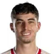 祥瑞 凯•哈佛茨