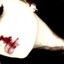 splary'