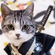 定海神针说长就长