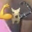 Perro brazo biónico