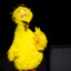 BiG biRD