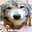 |WUF|  キューティー Steam avatar