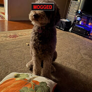 #1 Fanta Grape Scouter