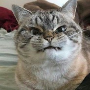 L3ss0