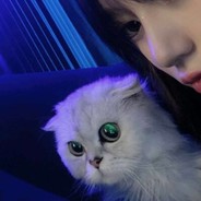 帅气的一只少年