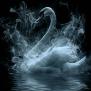 the smoky swan