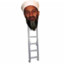 Osama Bin-Ladder