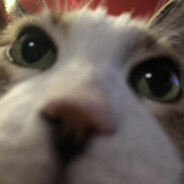 maciesequCASE.GIFT - steam id 76561199218630120