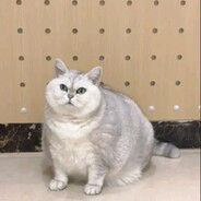 ebuchuKOT