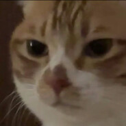 肥门长老---老肥！！