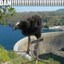 DAM!!!!!!!!!!!!!!!!!!!!!!