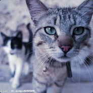 棋怪·逢场作戏