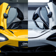 枝江一级保护树木