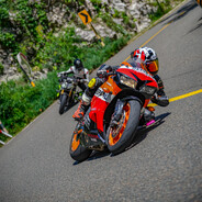 麻花是只大海参