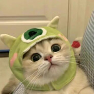 一只田螺菇凉Cc_