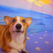 happy female teacher