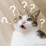 道友别追了跑不动了