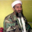 [PAL] Osama Bin Laden