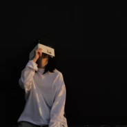 菊花向太阳just-zzb