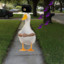 ComradeQuack