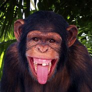 Настя шиномонтаж