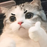 猫を叩かないでくださ