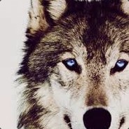 BLACKWOLF****