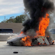 f u c k  s o c i e t y