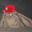 Malb