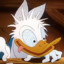Donald Duck FR