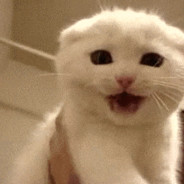 espera que me tiro un pipazoo