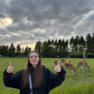 2025✅игра началась