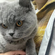 我没有刀别加了