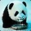 玻璃渣糖