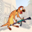 Timon
