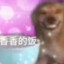 理塘顶真